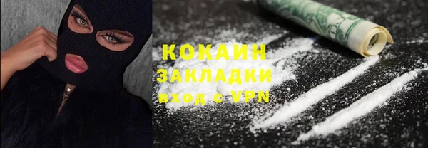крисы Ростов