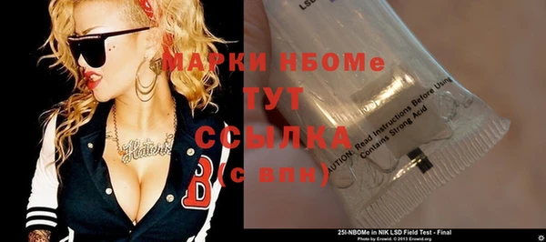 индика Сатка