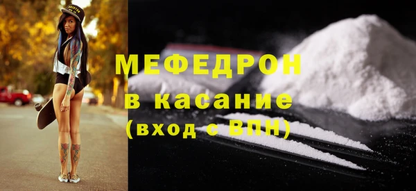 индика Сатка