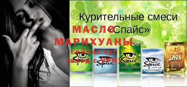 индика Сатка