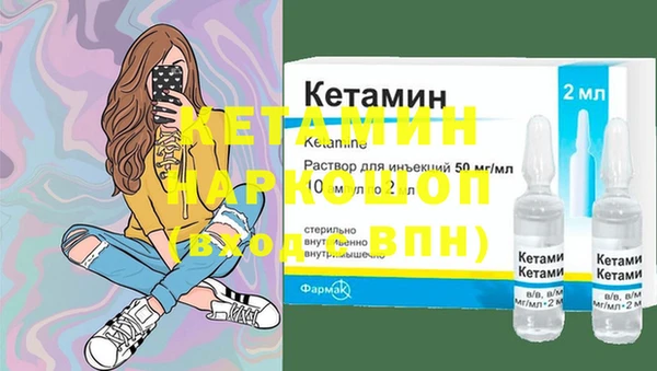 индика Сатка