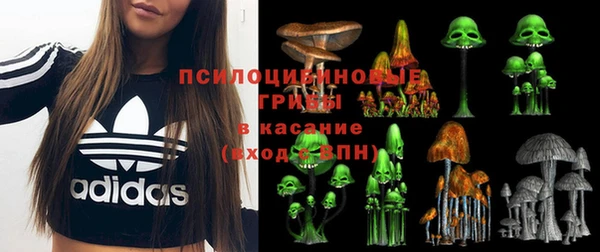 a pvp Абинск